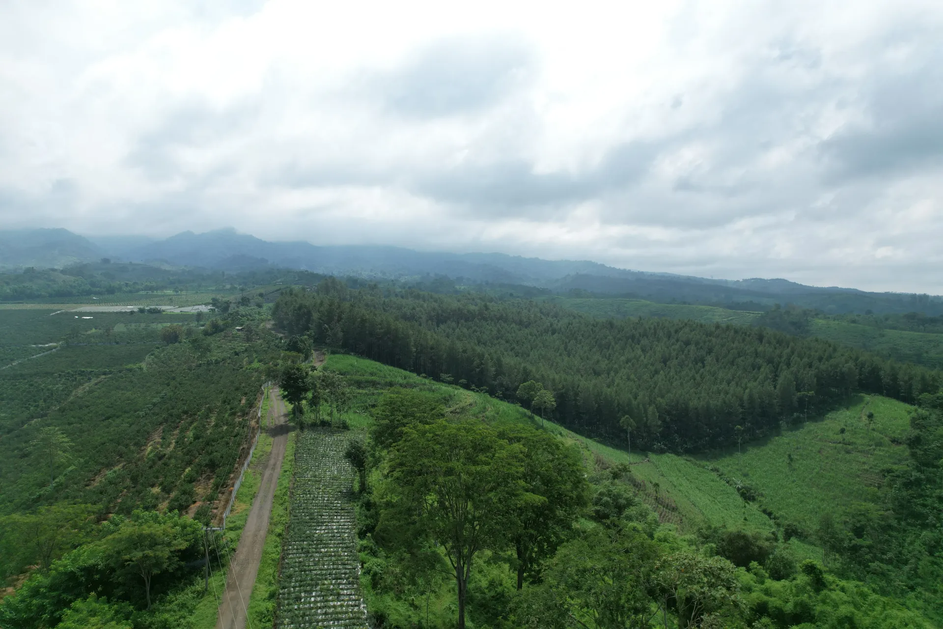 Desa Sumberejo